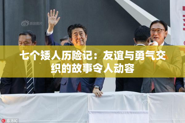 七个矮人历险记：友谊与勇气交织的故事令人动容