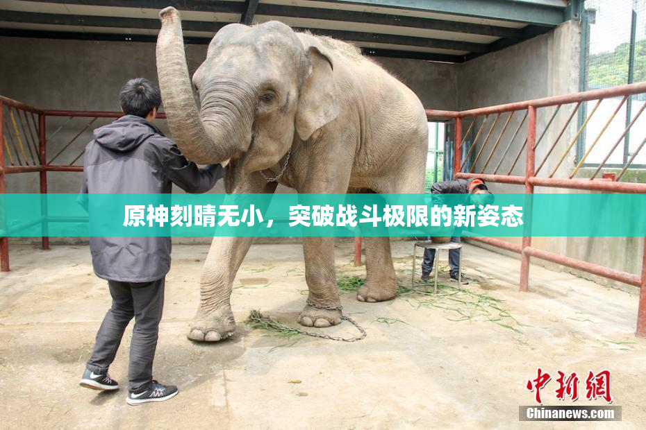 原神刻晴无小，突破战斗极限的新姿态