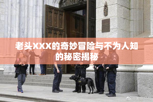 老头XXX的奇妙冒险与不为人知的秘密揭秘