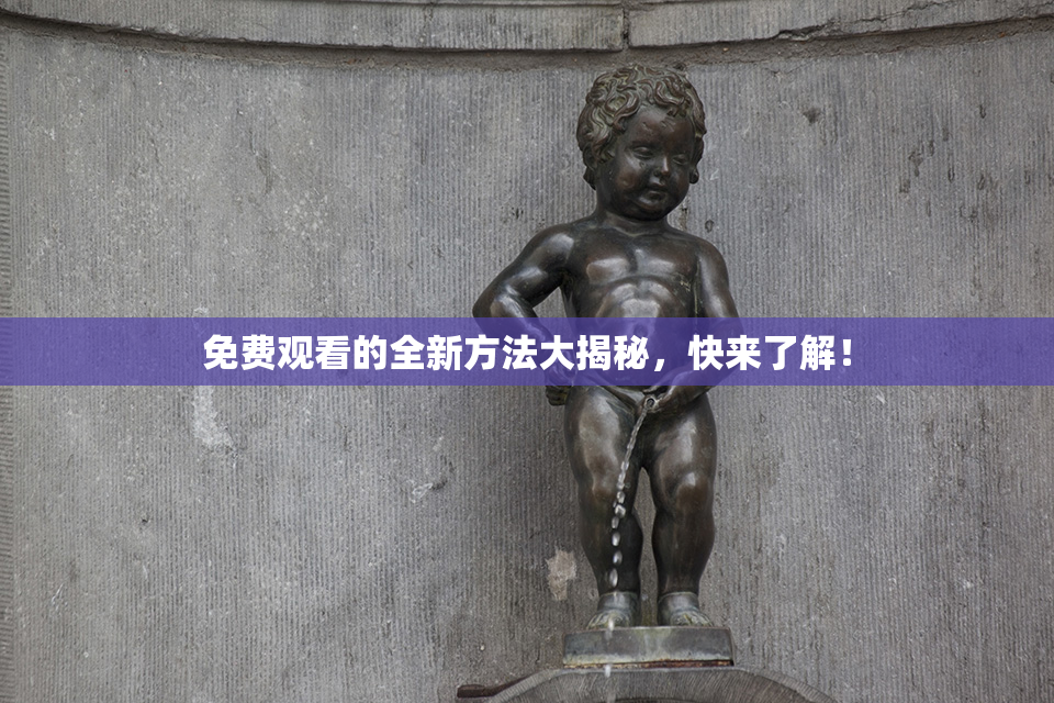 免费观看的全新方法大揭秘，快来了解！