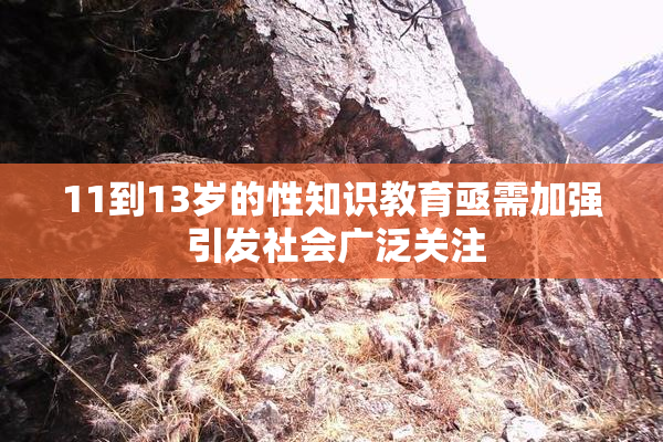 11到13岁的性知识教育亟需加强 引发社会广泛关注