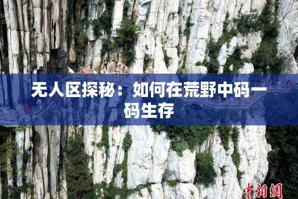 无人区探秘：如何在荒野中码一码生存