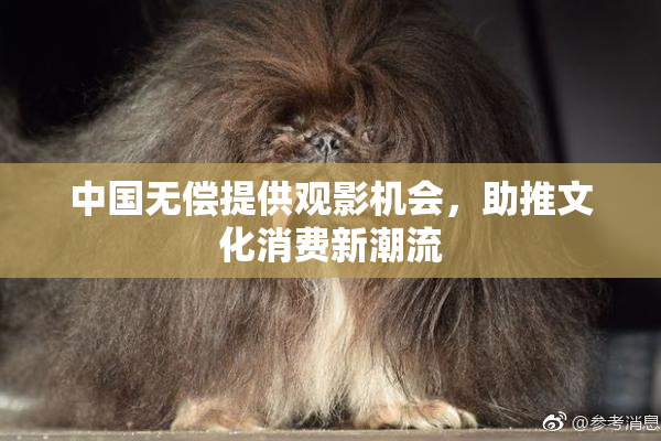 中国无偿提供观影机会，助推文化消费新潮流