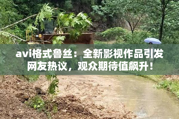 avi格式鲁丝：全新影视作品引发网友热议，观众期待值飙升！