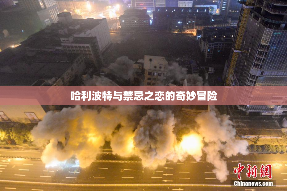 哈利波特与禁忌之恋的奇妙冒险