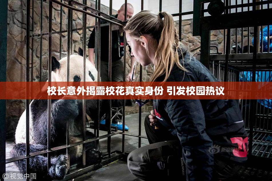 校长意外揭露校花真实身份 引发校园热议