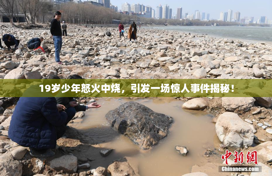19岁少年怒火中烧，引发一场惊人事件揭秘！