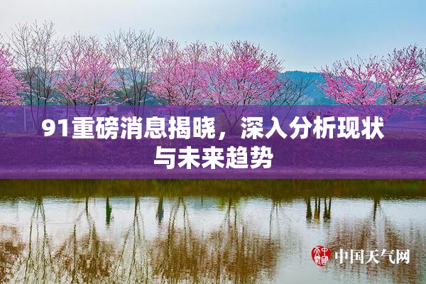 91重磅消息揭晓，深入分析现状与未来趋势