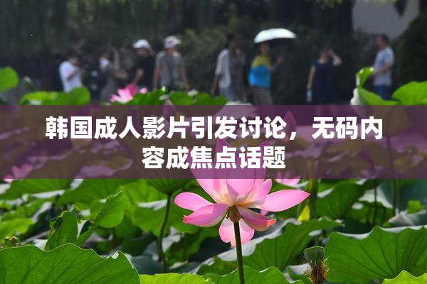 韩国成人影片引发讨论，无码内容成焦点话题