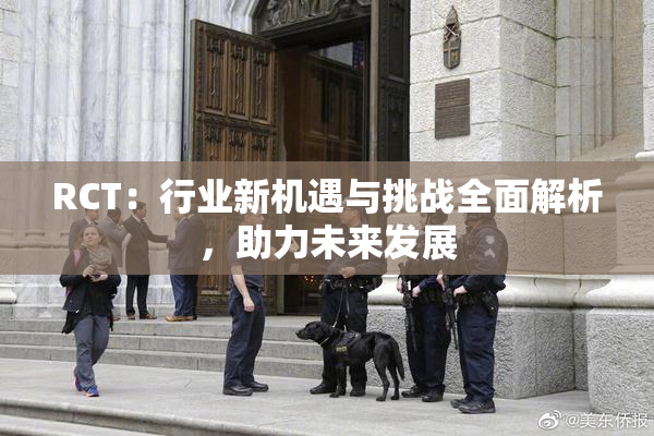 RCT：行业新机遇与挑战全面解析，助力未来发展