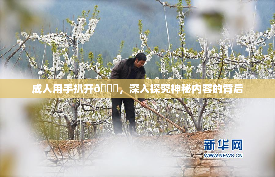 成人用手扒开🍑，深入探究神秘内容的背后