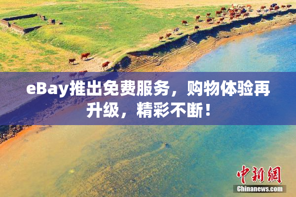 eBay推出免费服务，购物体验再升级，精彩不断！