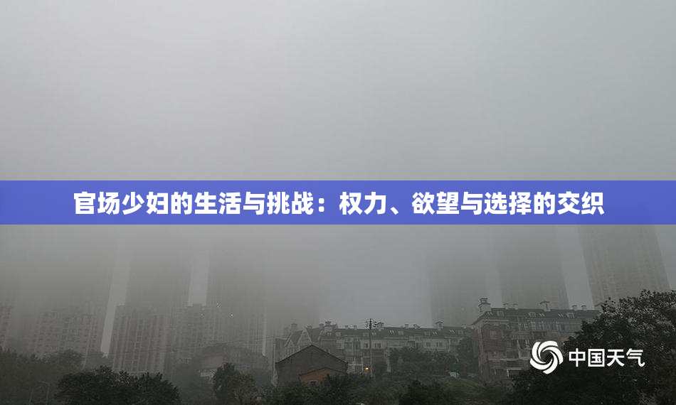 官场少妇的生活与挑战：权力、欲望与选择的交织