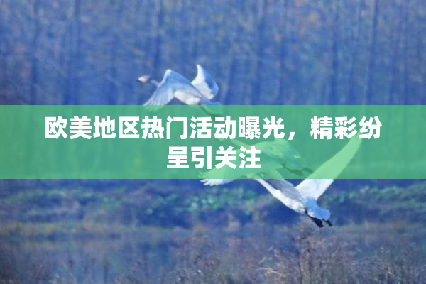 欧美地区热门活动曝光，精彩纷呈引关注
