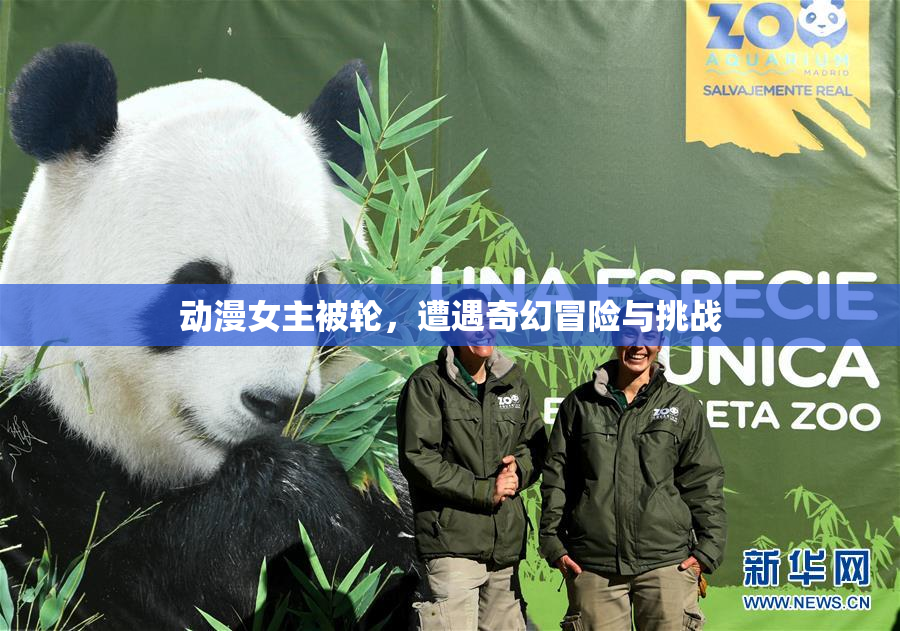 动漫女主被轮，遭遇奇幻冒险与挑战
