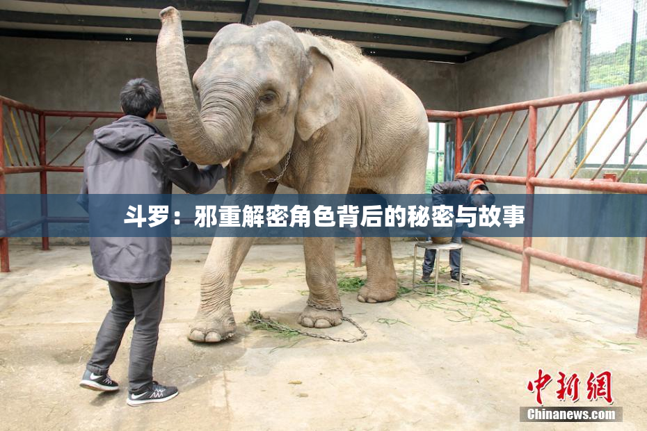 斗罗：邪重解密角色背后的秘密与故事