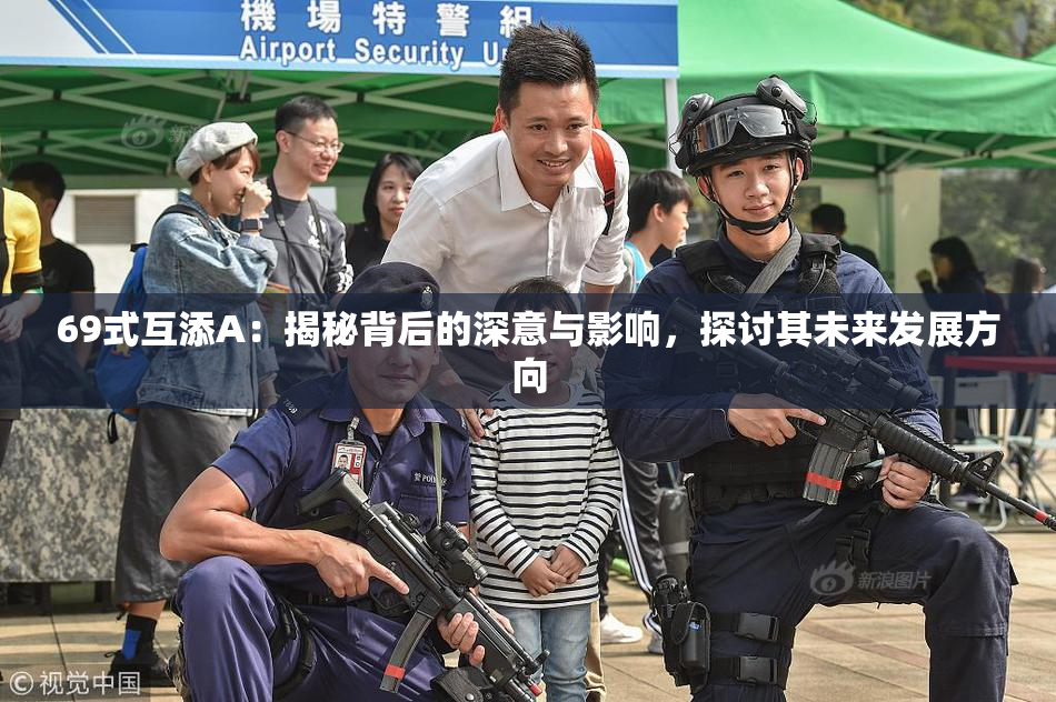 69式互添A：揭秘背后的深意与影响，探讨其未来发展方向