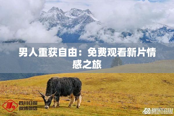 男人重获自由：免费观看新片情感之旅