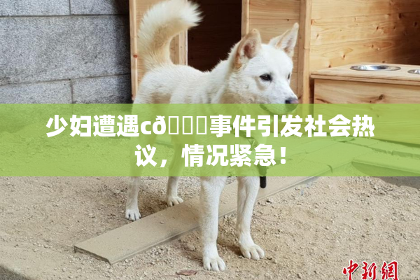 少妇遭遇c🔞事件引发社会热议，情况紧急！