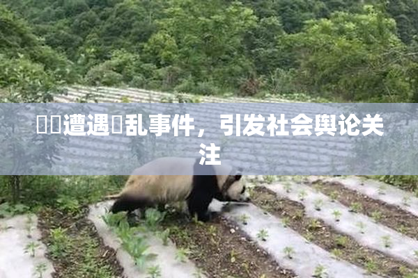 妺妺遭遇婬乱事件，引发社会舆论关注