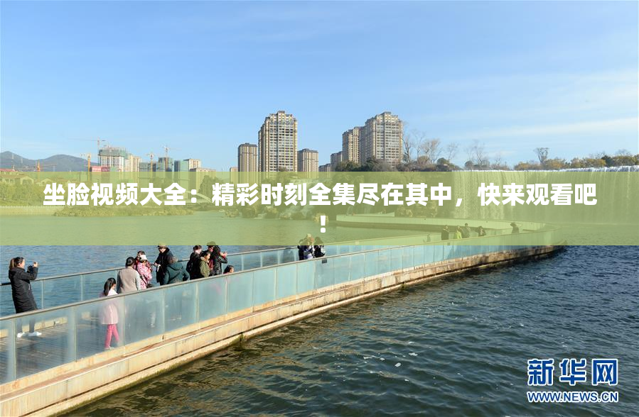 坐脸视频大全：精彩时刻全集尽在其中，快来观看吧！