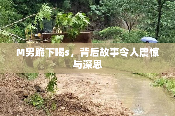 M男跪下喝s，背后故事令人震惊与深思
