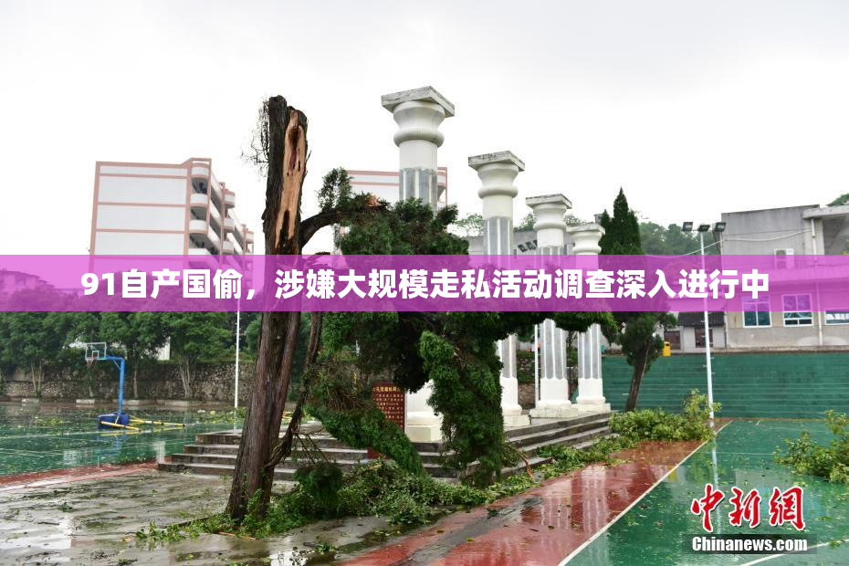 91自产国偷，涉嫌大规模走私活动调查深入进行中