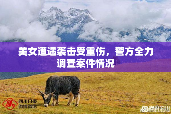 美女遭遇袭击受重伤，警方全力调查案件情况