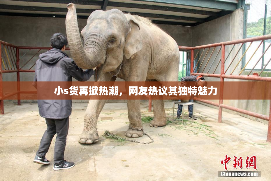 小s货再掀热潮，网友热议其独特魅力