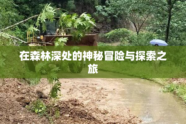 在森林深处的神秘冒险与探索之旅
