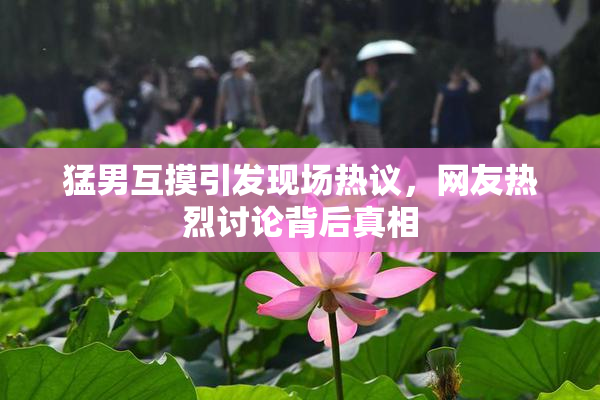 猛男互摸引发现场热议，网友热烈讨论背后真相
