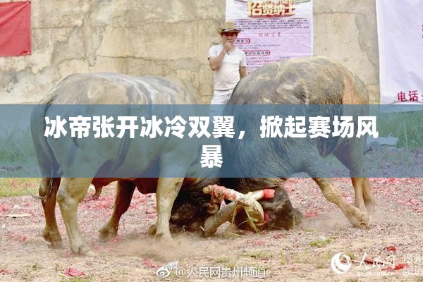冰帝张开冰冷双翼，掀起赛场风暴