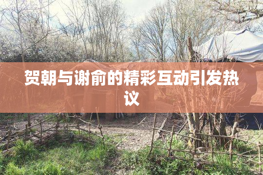 贺朝与谢俞的精彩互动引发热议
