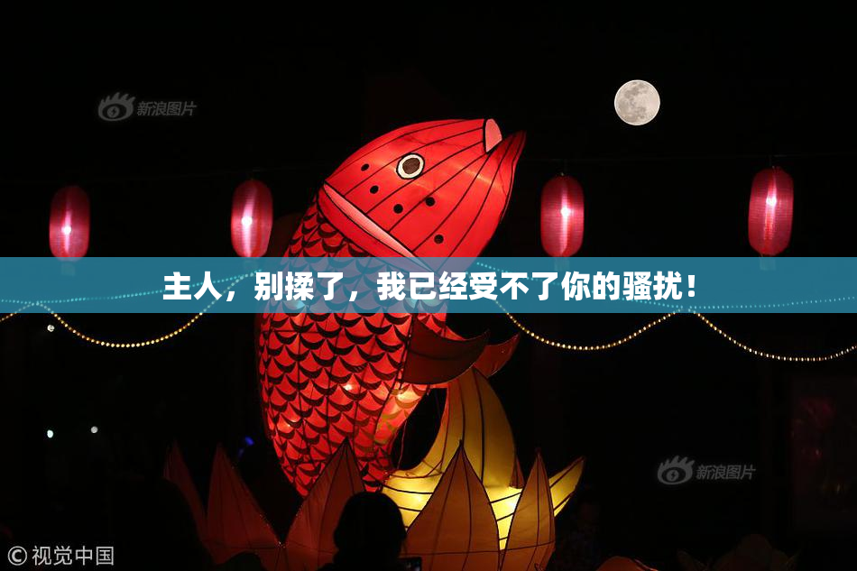 主人，别揉了，我已经受不了你的骚扰！