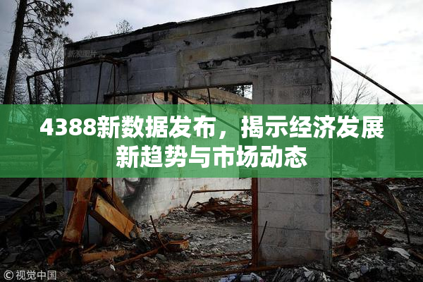 4388新数据发布，揭示经济发展新趋势与市场动态