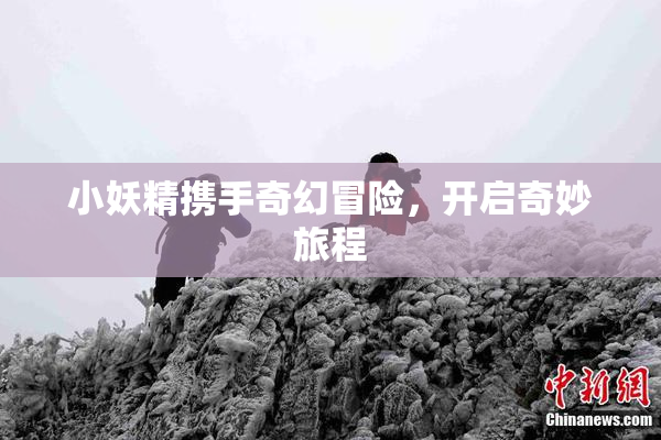 小妖精携手奇幻冒险，开启奇妙旅程