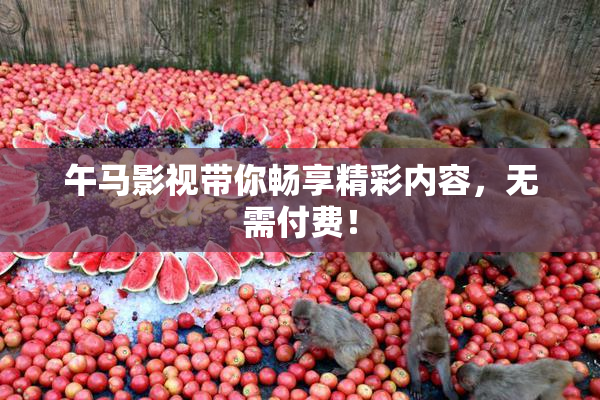 午马影视带你畅享精彩内容，无需付费！
