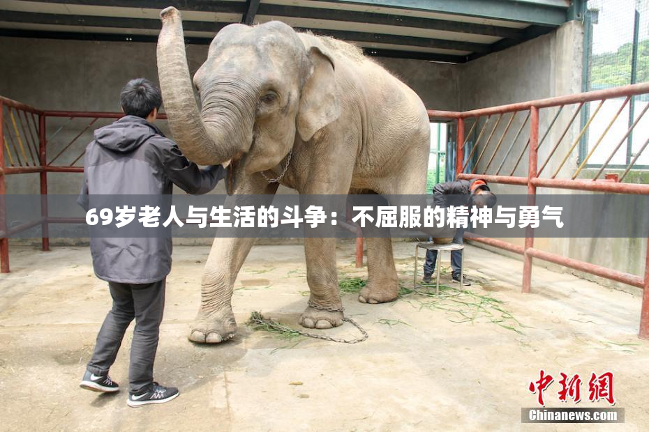69岁老人与生活的斗争：不屈服的精神与勇气