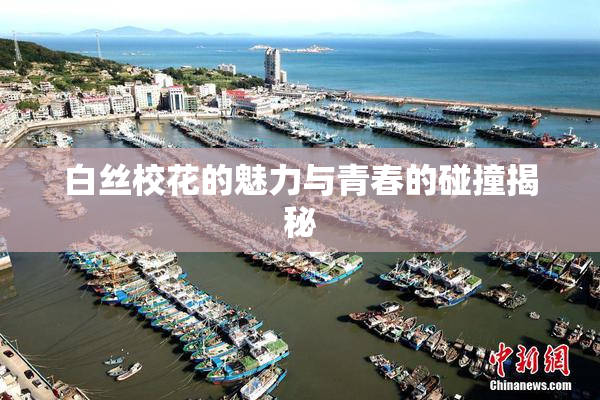 白丝校花的魅力与青春的碰撞揭秘