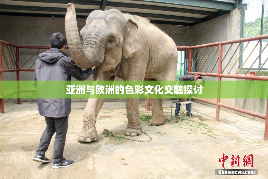 亚洲与欧洲的色彩文化交融探讨