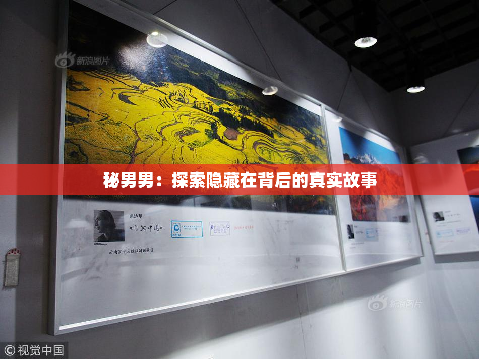 秘男男：探索隐藏在背后的真实故事