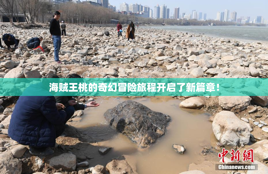 海贼王桃的奇幻冒险旅程开启了新篇章！