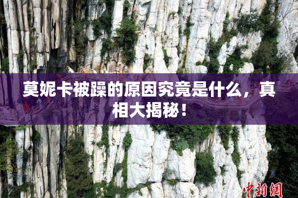 莫妮卡被躁的原因究竟是什么，真相大揭秘！