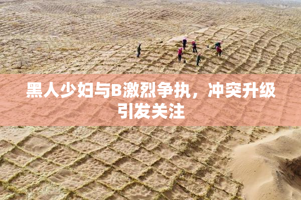 黑人少妇与B激烈争执，冲突升级引发关注