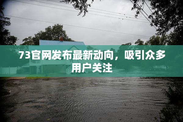 73官网发布最新动向，吸引众多用户关注
