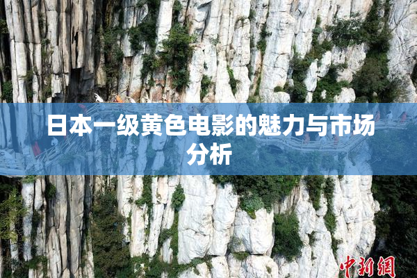 日本一级黄色电影的魅力与市场分析