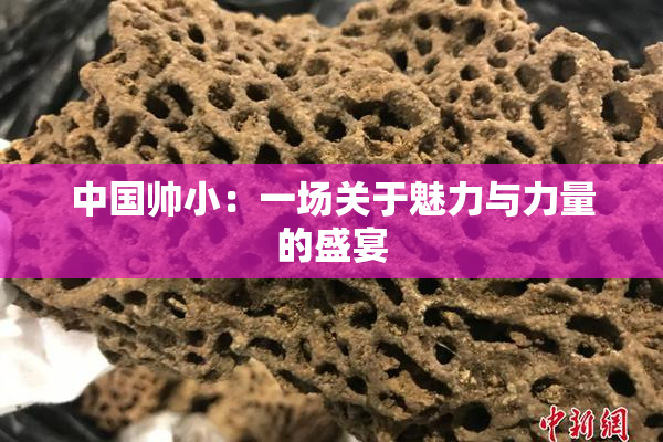 中国帅小：一场关于魅力与力量的盛宴