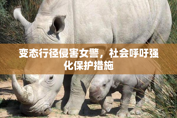 变态行径侵害女警，社会呼吁强化保护措施