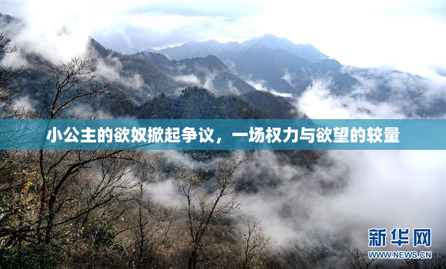 小公主的欲奴掀起争议，一场权力与欲望的较量