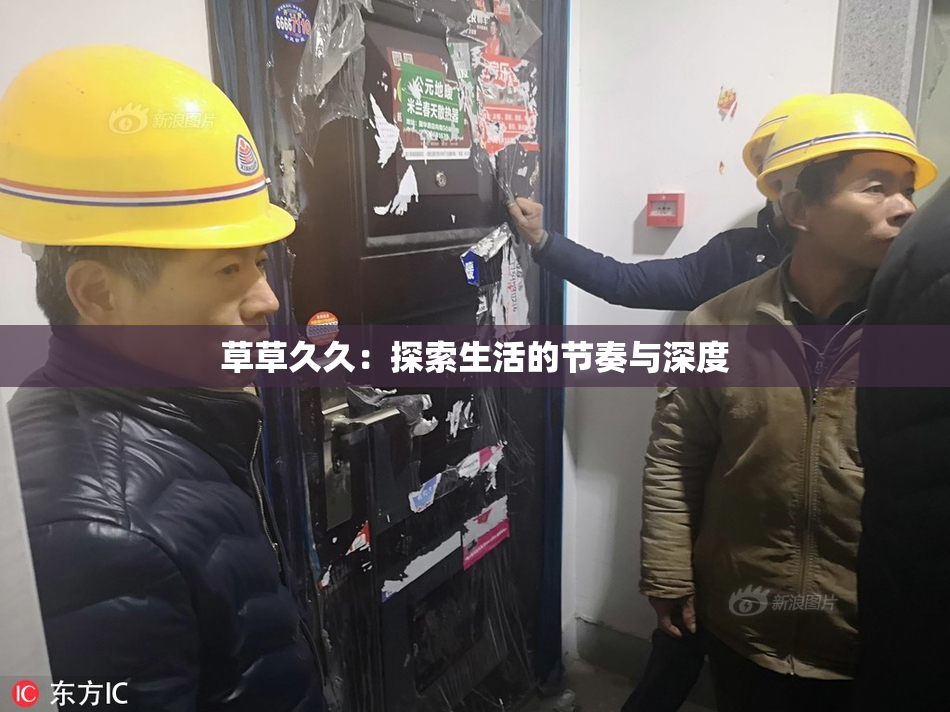 草草久久：探索生活的节奏与深度